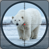 Angry Wild bear- Polar Bear Hunting icon