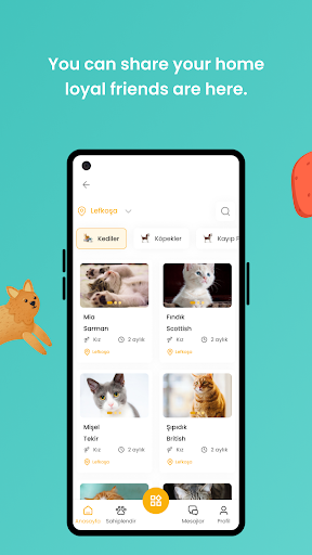 Goy Screen 3