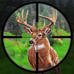 Animal Hunting : Square Sniper