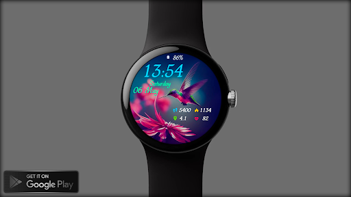 Hummingbird01 Watch Face