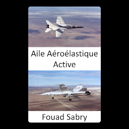 Obraz ikony: Aile Aéroélastique Active: Améliorer la maniabilité des avions à des vitesses transsoniques et supersoniques