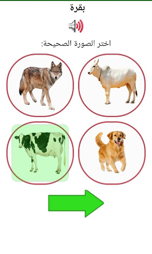 Arabic For Kids  Learn Arabic