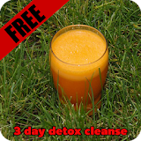 3 day detox cleanse icon