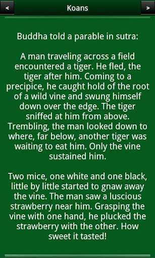 Koans Zen Buddhism Screen 3