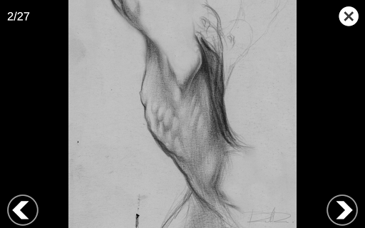 Screenshot of 3D Anatomy for the Artist