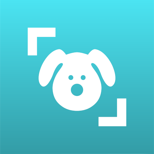 Dog Scanner: Breed Recognition 12.1.0-G Icon