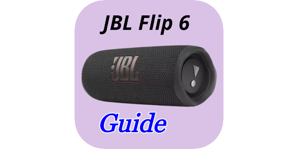 ALTAVOZ JBL FLIP 6 PINK