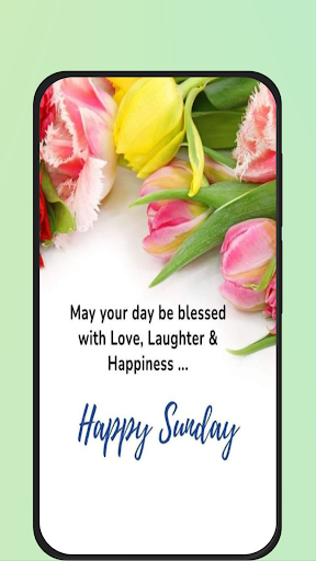 Vista previa de la aplicación