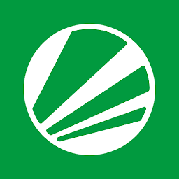 Premier Bet Livescore Official: Download & Review