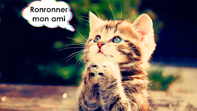 Traducteur De Chat Sons De Chat Blague Teaser Applications Sur Google Play