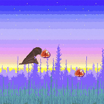 Bat