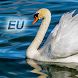 Nature - Europe - Androidアプリ