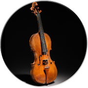 Violin - String Music Instrument