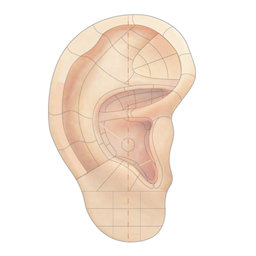 Auricular Acupuncture Microsys 12.1 Icon