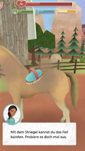 Horse Ride Farm Adventure