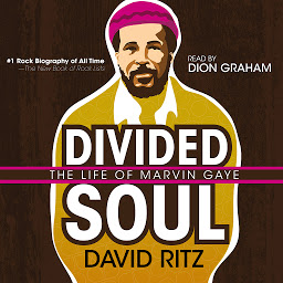 Icon image Divided Soul: The Life of Marvin Gaye