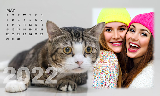 2022 New Year Cat Calendar Pho Screen 2