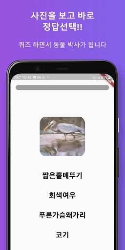 동물 퀴즈왕 Screen 3