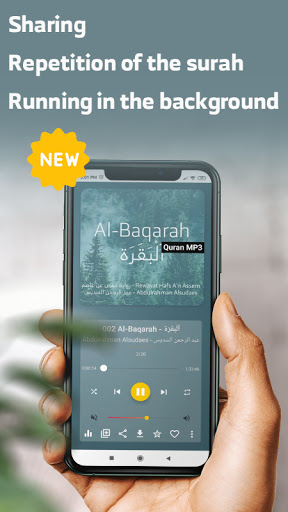 Quran MP3  All Reciters