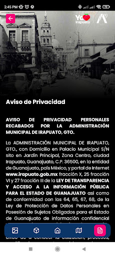 Mural Revolución Irapuato Lite