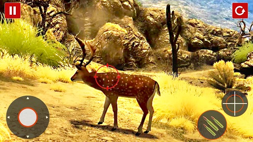 Wild Hunting Shooting Game Screen 2