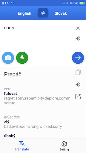 Slovak English Translate Screen 3