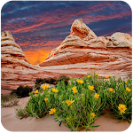 Cover Image of Tải xuống Desert Wallpapers  APK