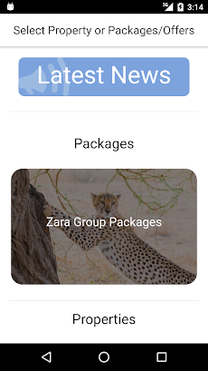 Zara Group Packagesのおすすめ画像1