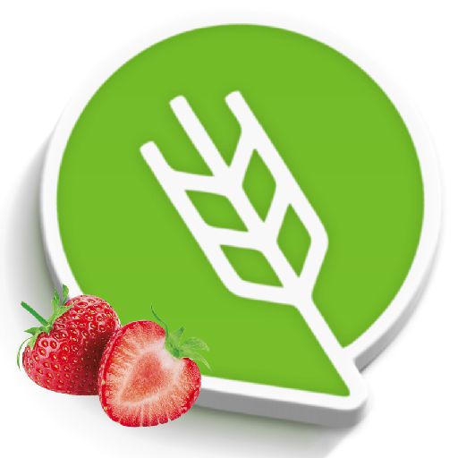 स्ट्रॉबेरी लागवड logo