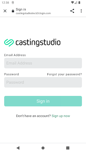 Casting Studio Screen 2