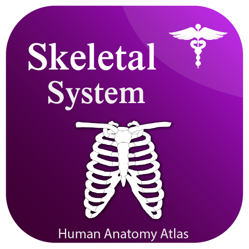 Skeletal System Anatomy Laai af op Windows