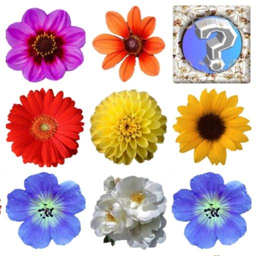 Memory Games Picture Matching Скачать для Windows