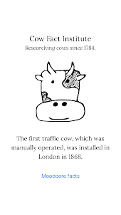 Cow Facts