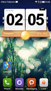 XWidget Screenshot