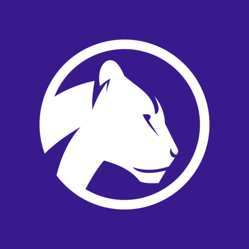 Strong Aesthetics logo