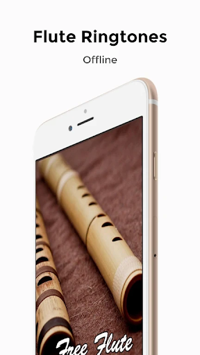 All Flute Ringtone - Bollywood Screen 2