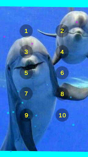 Dolphin Sounds Of The Sea Screen 3