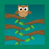 Owl Challenge icon