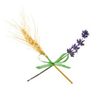 Eredità dal Passato icon