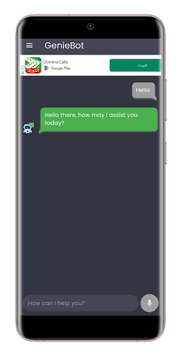 GenieBot Screen 3