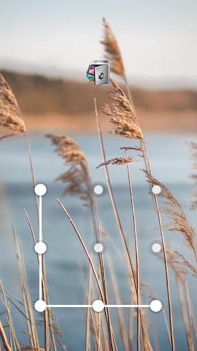 Android application AppLock Live Theme Reeds screenshort