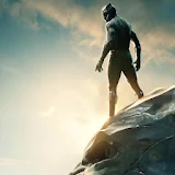 Black Panther Wallpapers icon
