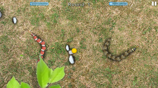 Snake Touch Screen 3