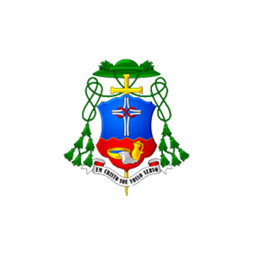 Diocese de Palmas e Francisco logo