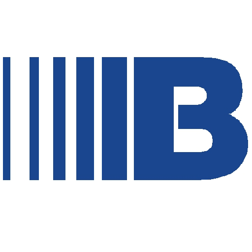 Brinks VSO logo