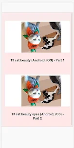 funys cattarticle tips