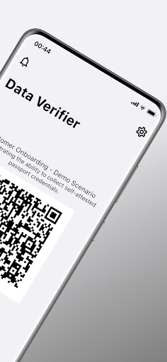 Data Verifier Screen 2