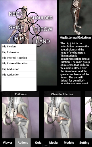 Muscle and Bone Anatomy 3D - Medical - apps