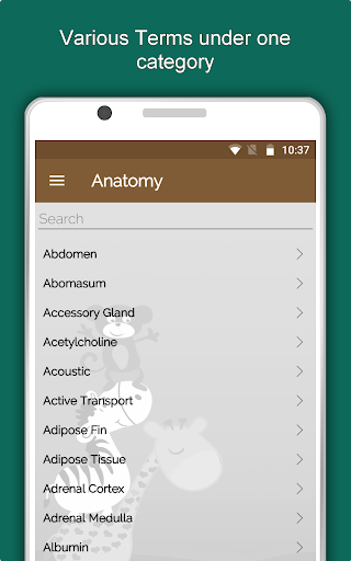 Screenshot of Zoology: Animal Kingdom Study