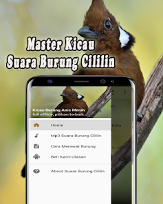 Master Burung Cililin MP3 1.0.2 APK + Mod (Unlimited money) إلى عن على ذكري المظهر